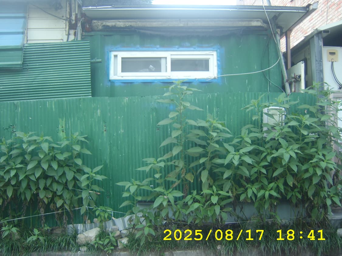 삼성 케녹스 D50 디지털카메라 상품이미지8