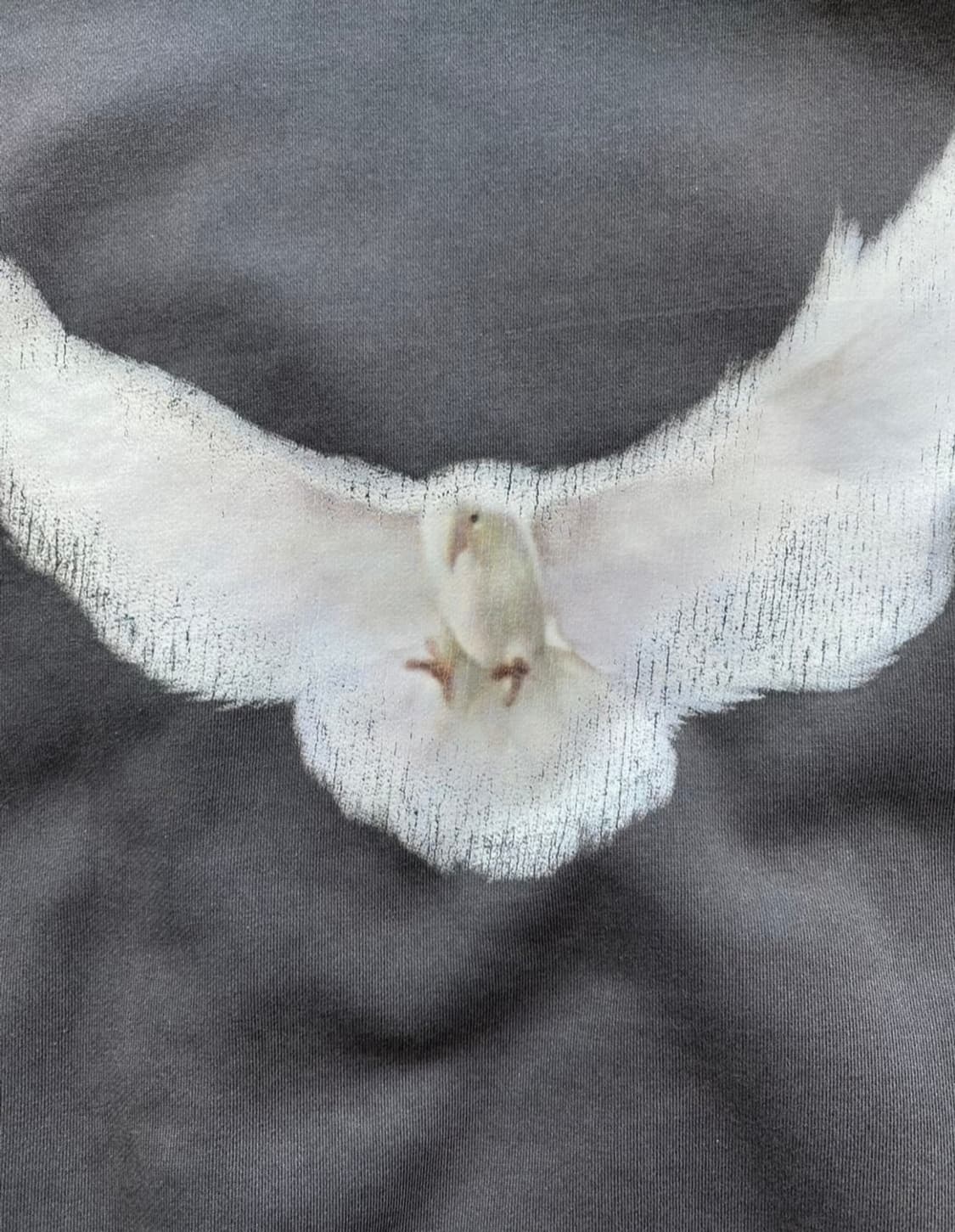 이지갭 도브 후드티 상품이미지3