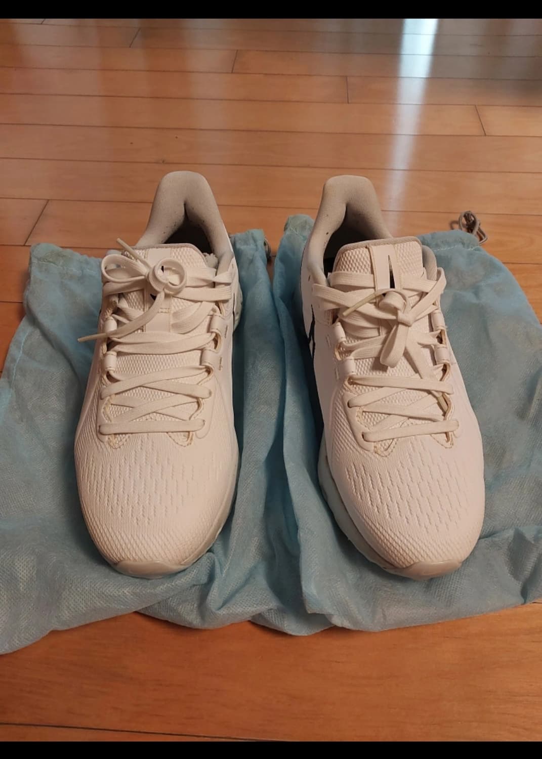 나이키 골프화 245 상품이미지1