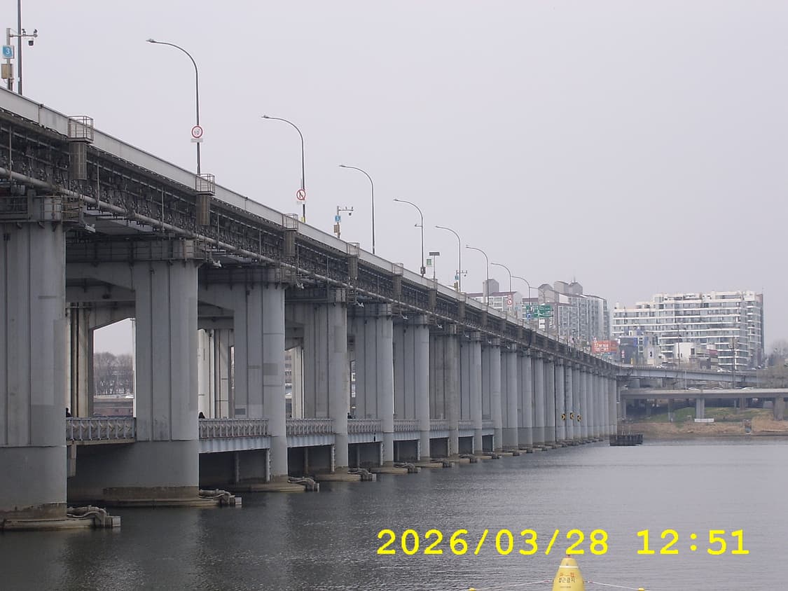 삼성 케녹스 D4 | 작례 O 상품이미지8