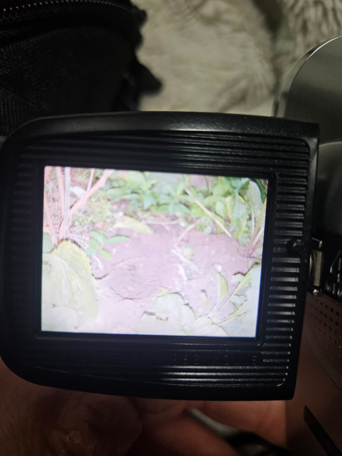 산요 작티 vpc-c40 핸디캠 레트로 디카 상품이미지7