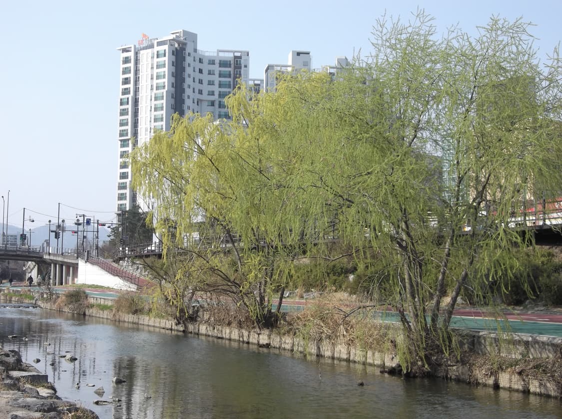 후지필름 파인픽스 AV250 작례 상품이미지3