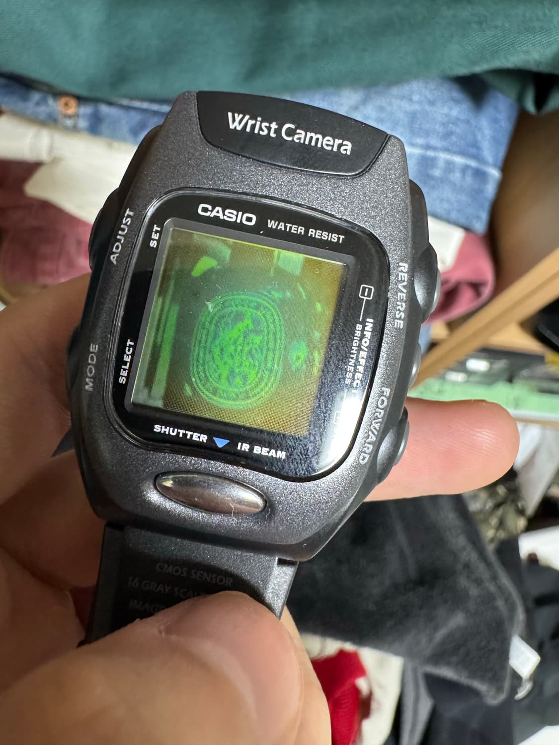 casio wqv-2 카시오 빈지노 시계 상품이미지6