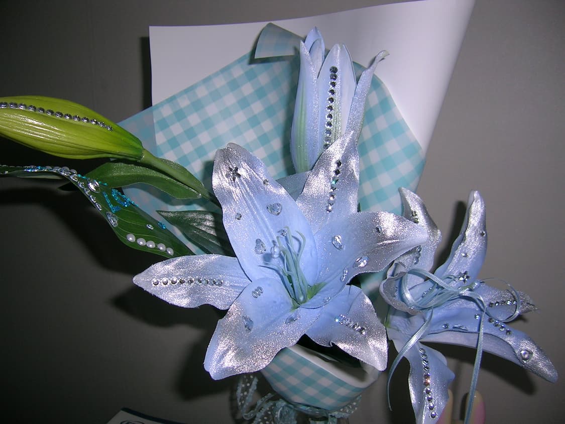 니콘 쿨픽스 3700 상품이미지8