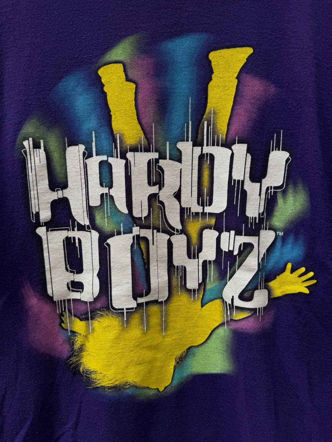 2000 WWE WWF Hardy Boyz 반팔 티셔츠  상품이미지3