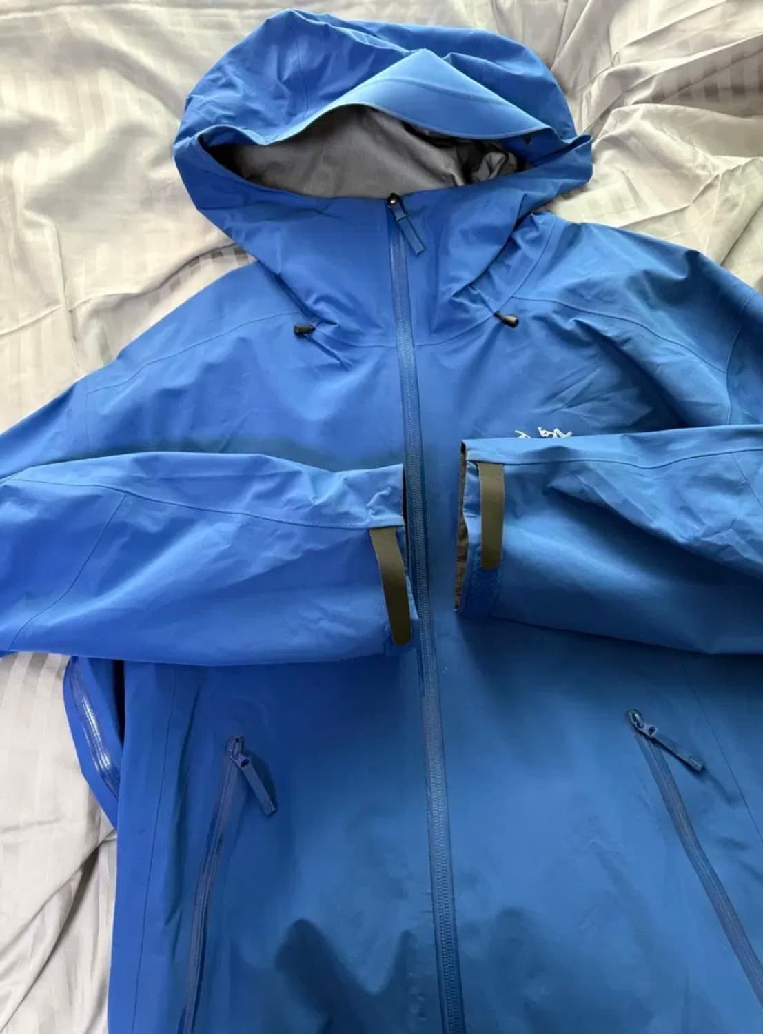 [급] 아크테릭스 베타 lt md 바이탈리티 상품이미지2