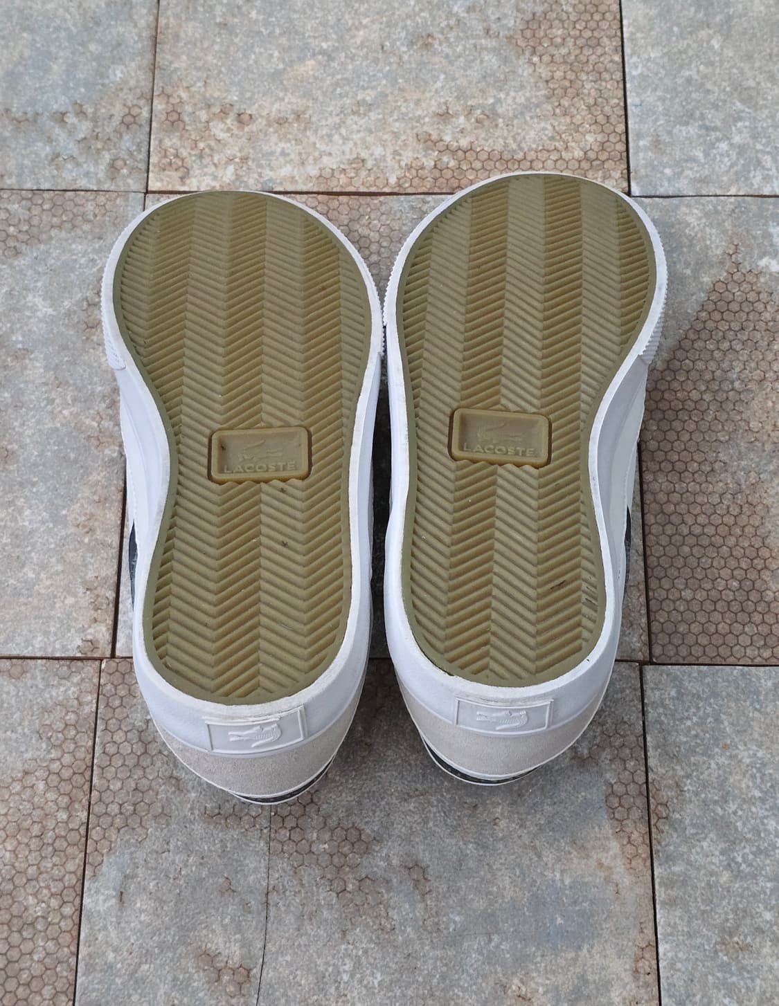 (240)라코스테 사이드라인 프로 상품이미지8