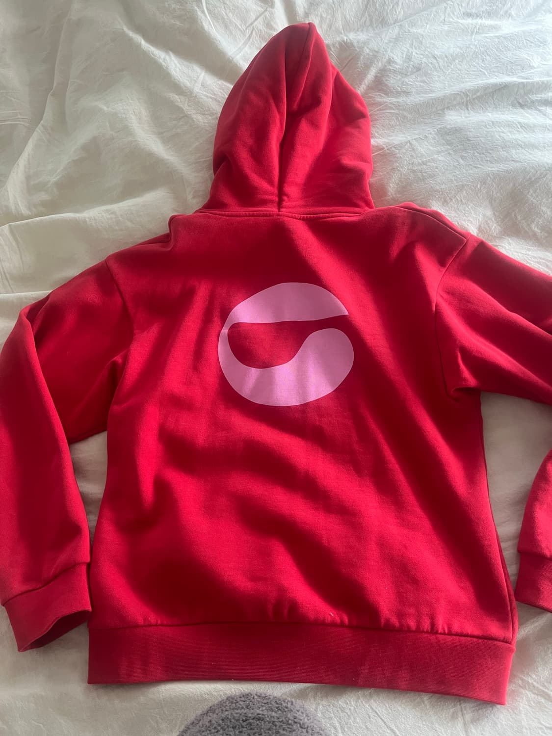 Coperni코페르니 기모 후드티 상품이미지4