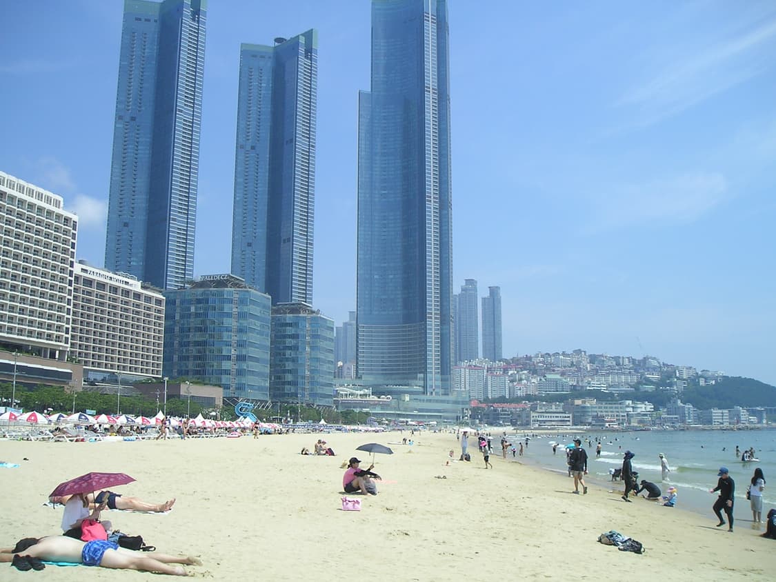 올림푸스 c-350  상품이미지6