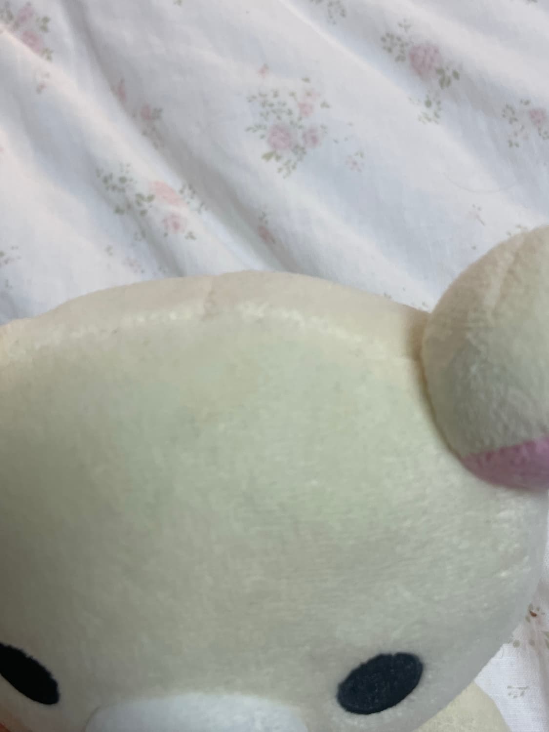 코리락쿠마 기본 마스코트 인형 상품이미지4