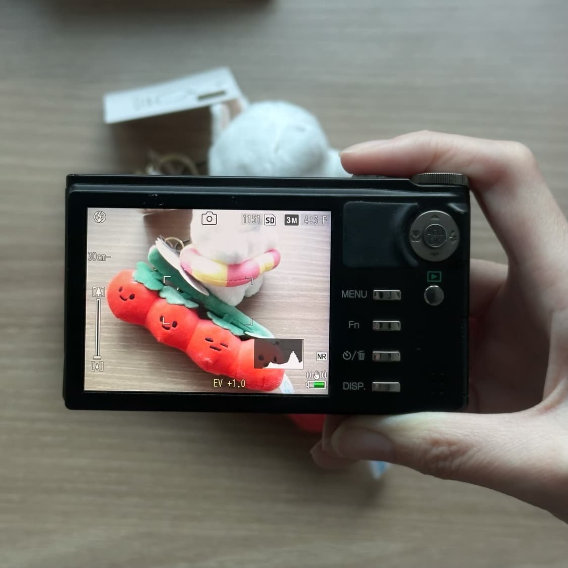 리코 Ricoh CX3 빈티지 디지털 카메라 디카 상품이미지4