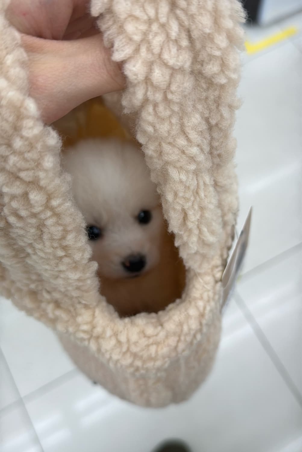 쓰리타임즈 핫픽스 티셔츠 결제창 상품이미지1