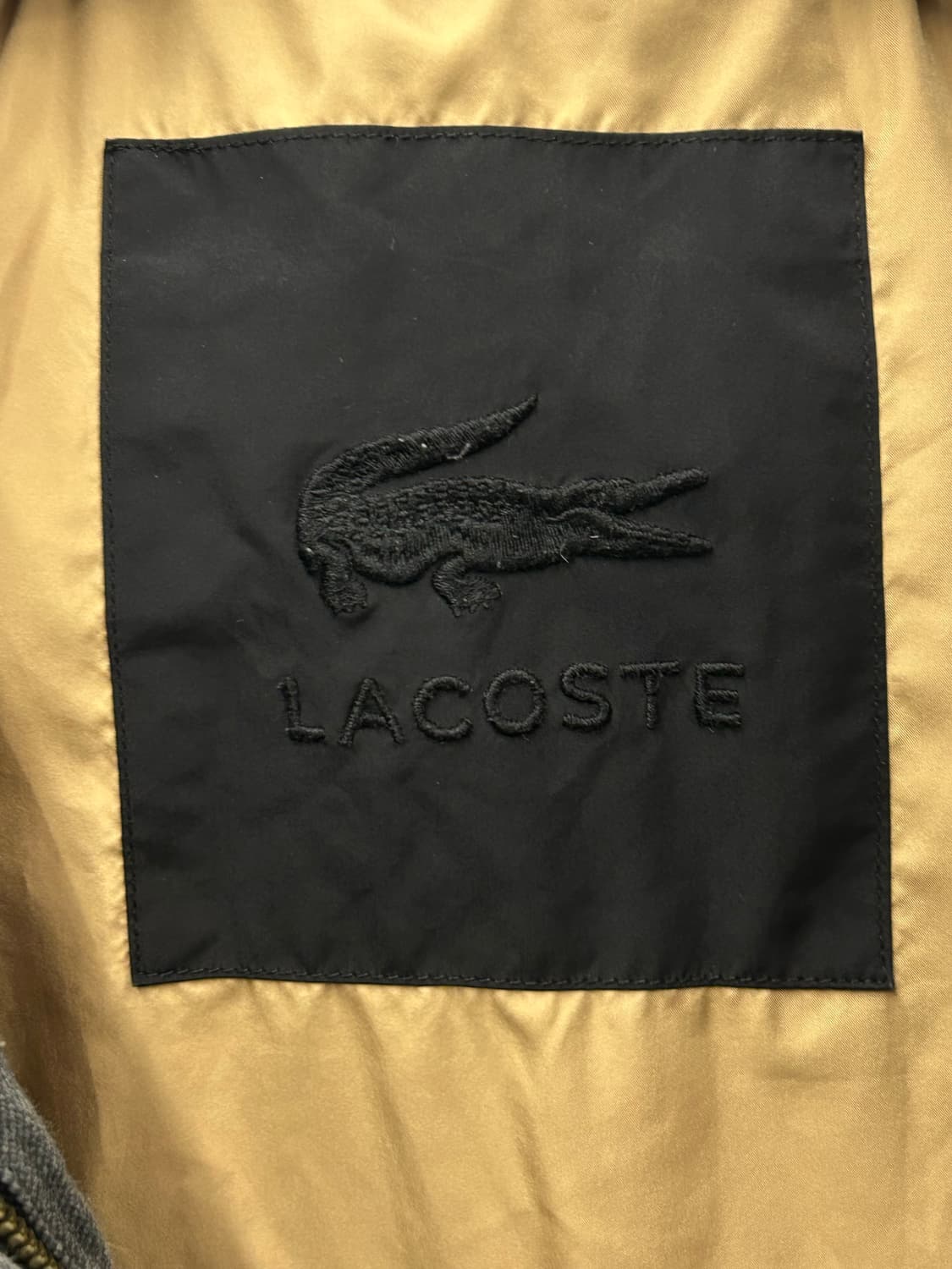 라코스테 덕다운 후드 패딩 상품이미지3