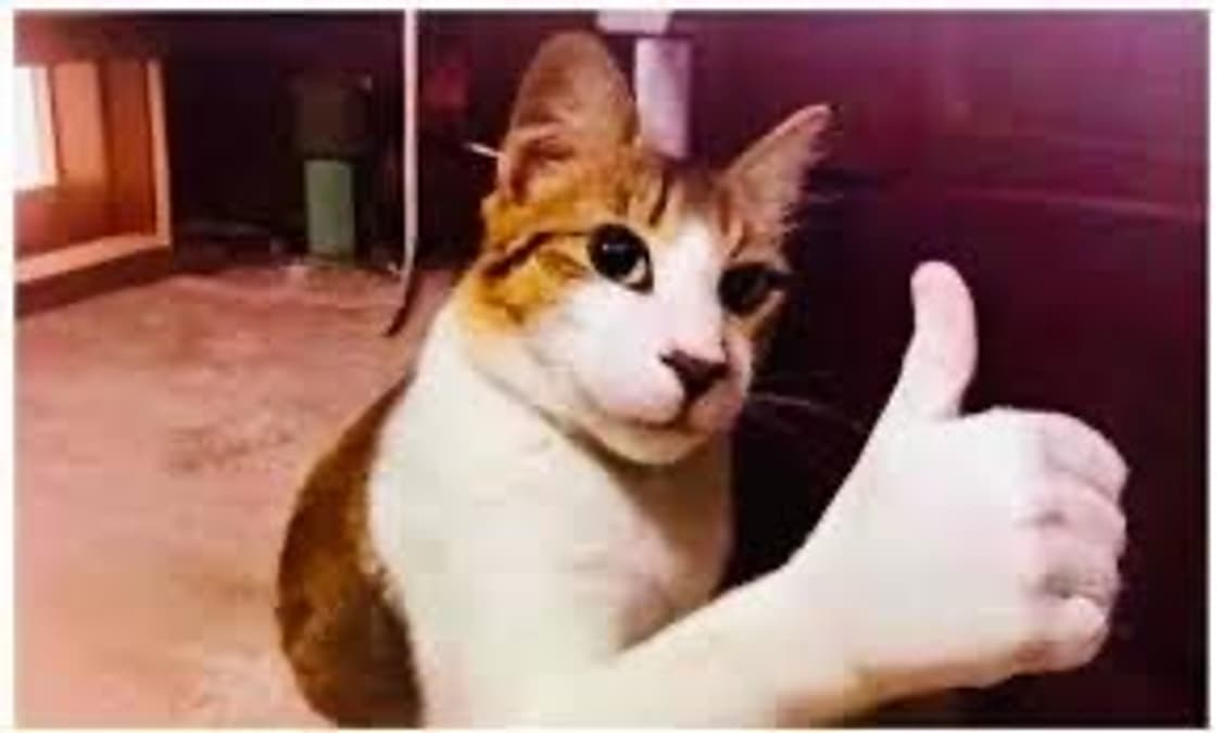 개인결제창 상품이미지2