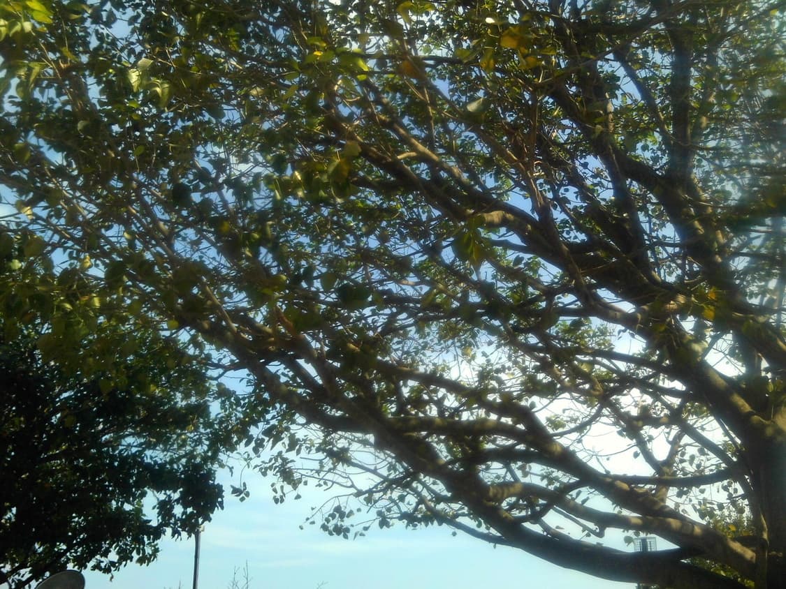 폴라로이드 듀얼 블루 풀박 상품이미지7