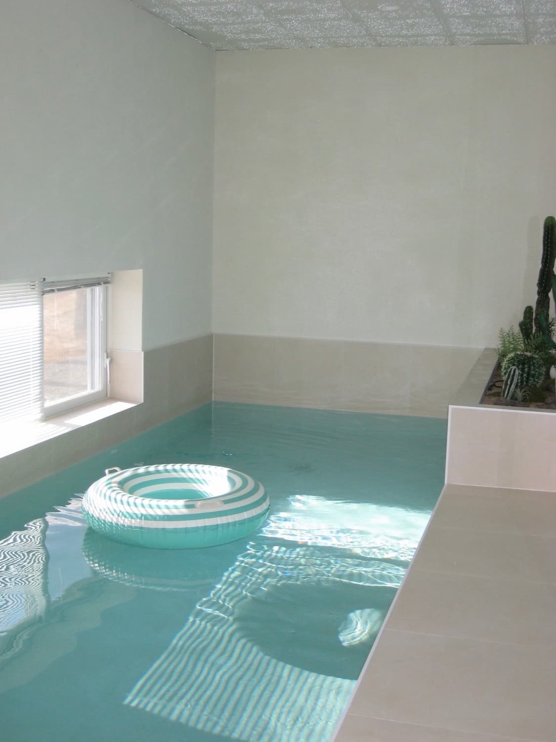 캐논 Canon IXY 25 IS /IXUS 85 IS 빈티지 디카 상품이미지4