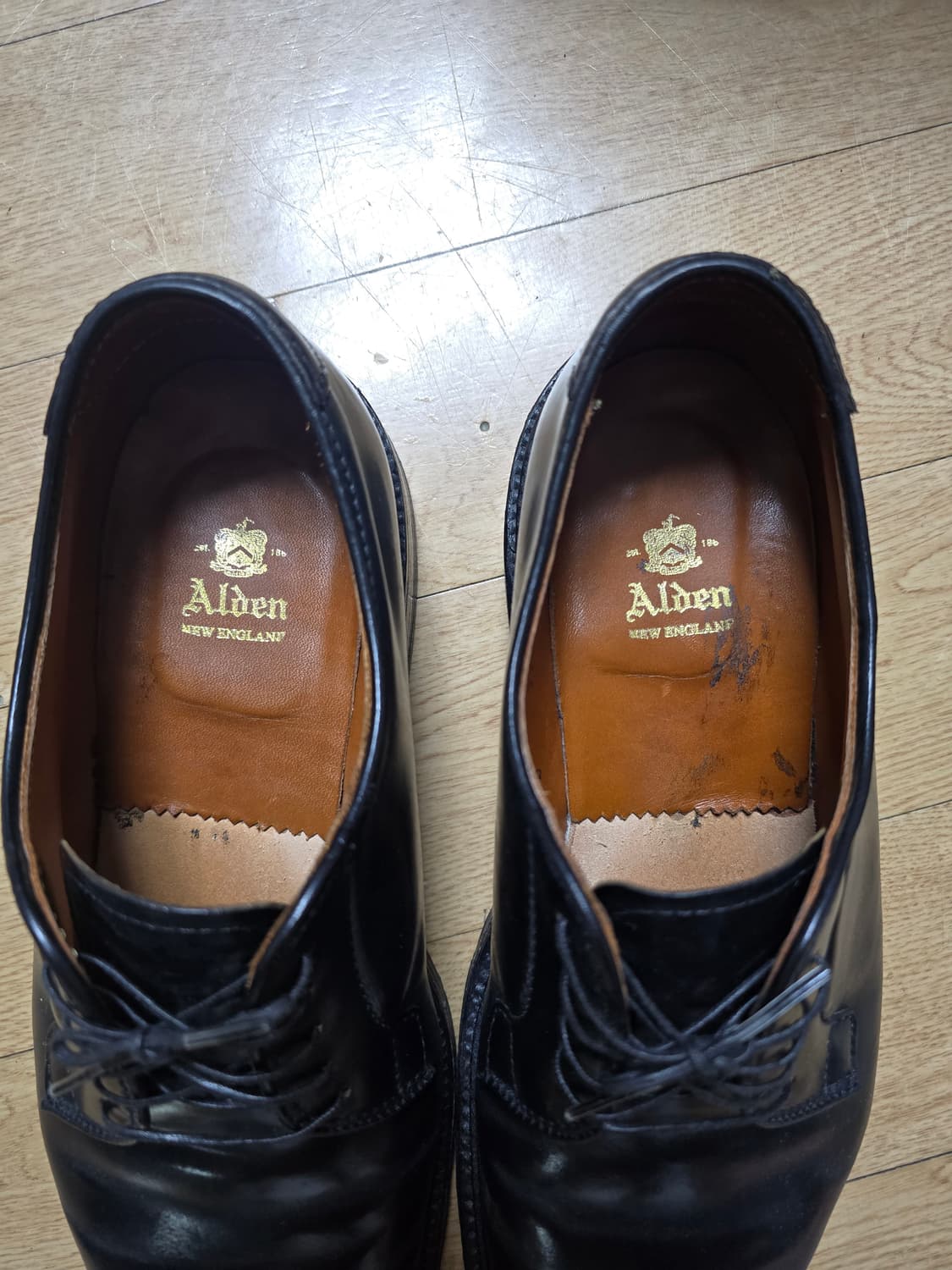 알든 9901 팩토리 9D사이즈 상품이미지2