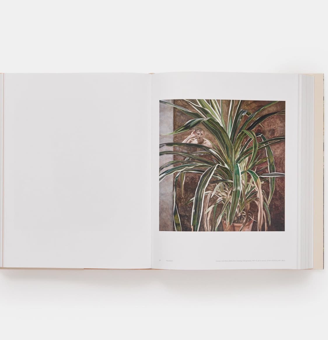 미개봉 / Lucian Freud 루시안프로이드 대형도록 상품이미지6