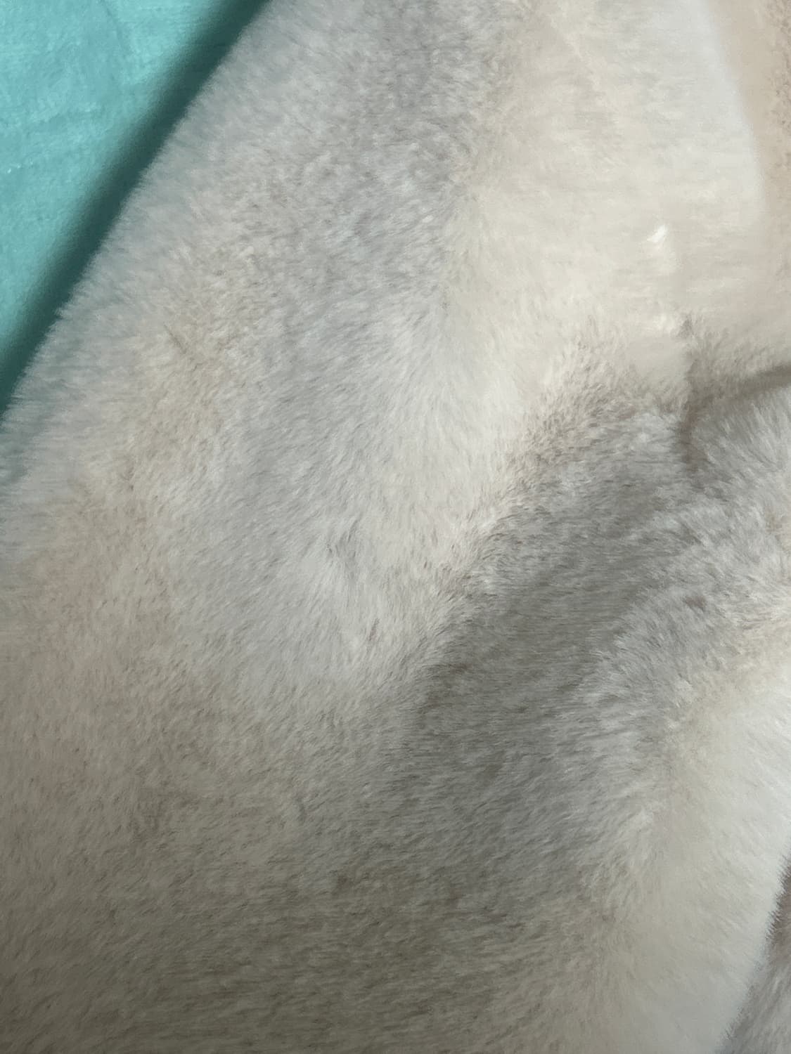 (교환도 구해요! 옷 가방등으로 교환)클리시어 푸딩 퍼자켓 상품이미지6