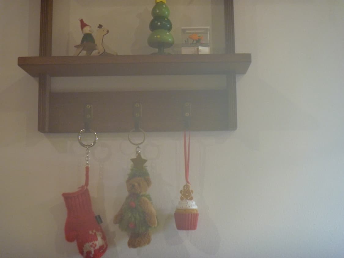 작례 O) 파나소닉 루믹스 Panasonic Lumix FP1 상품이미지6