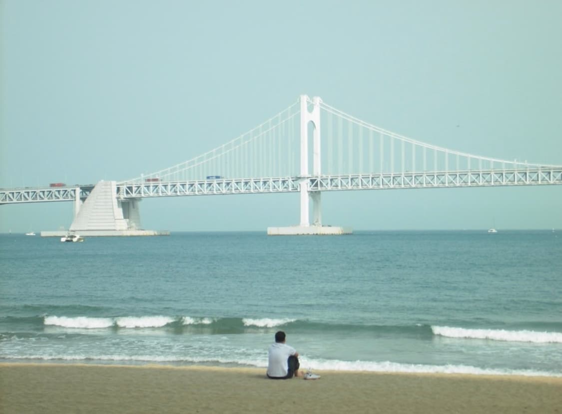 Samsung VLUU NV100HD 삼성 디카 카메라 상품이미지4