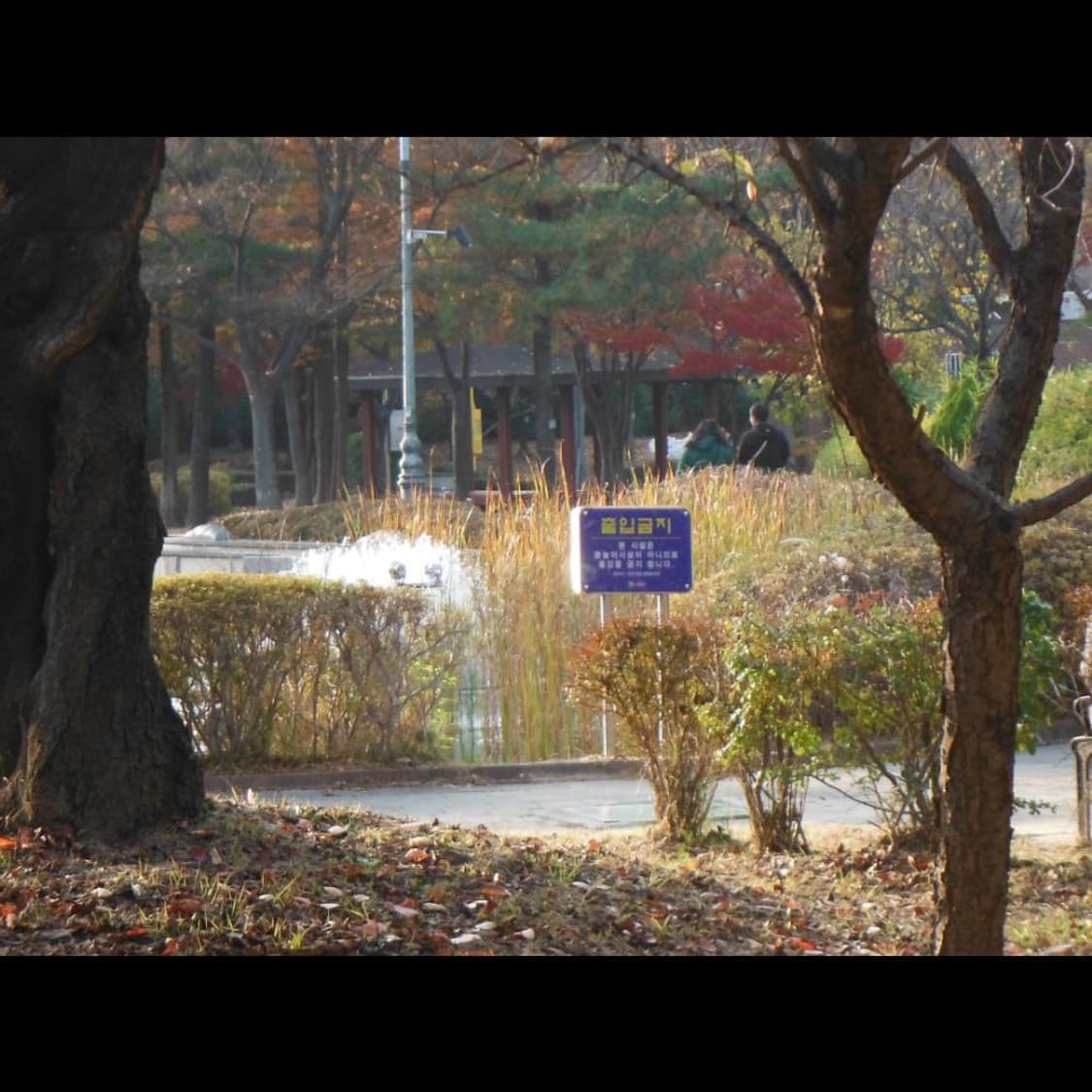 작례⭕️ 후지필름 XP150 + 박스  아쿠아 블루 메탈릭🌊  상품이미지6