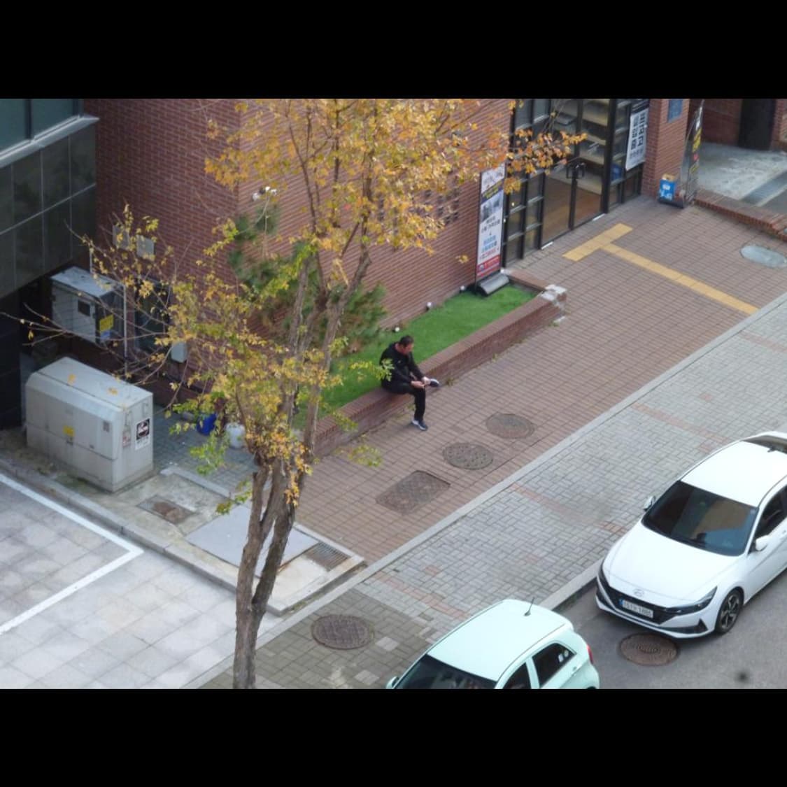 파나소닉 DMC-S2  베이비 블루 매트🌬️ 빈티지 디카 디지털카메라 상품이미지5