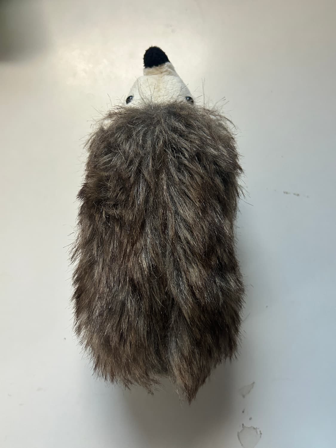 고슴도치 안경케이스  상품이미지3