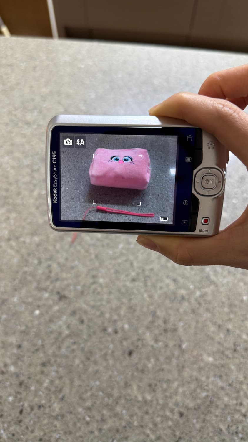 코닥 C195 (키키 디카 대체품) 상품이미지5