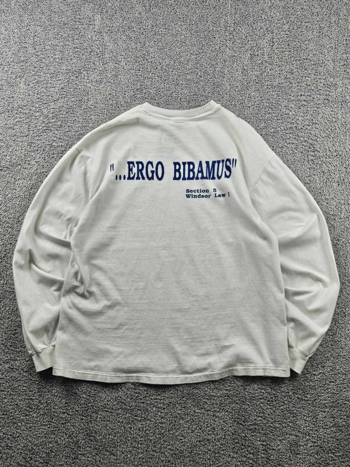 90's HANES 싱글스티치 윈저법대펍크롤 롱슬리브 (L)/ 11119 상품이미지3