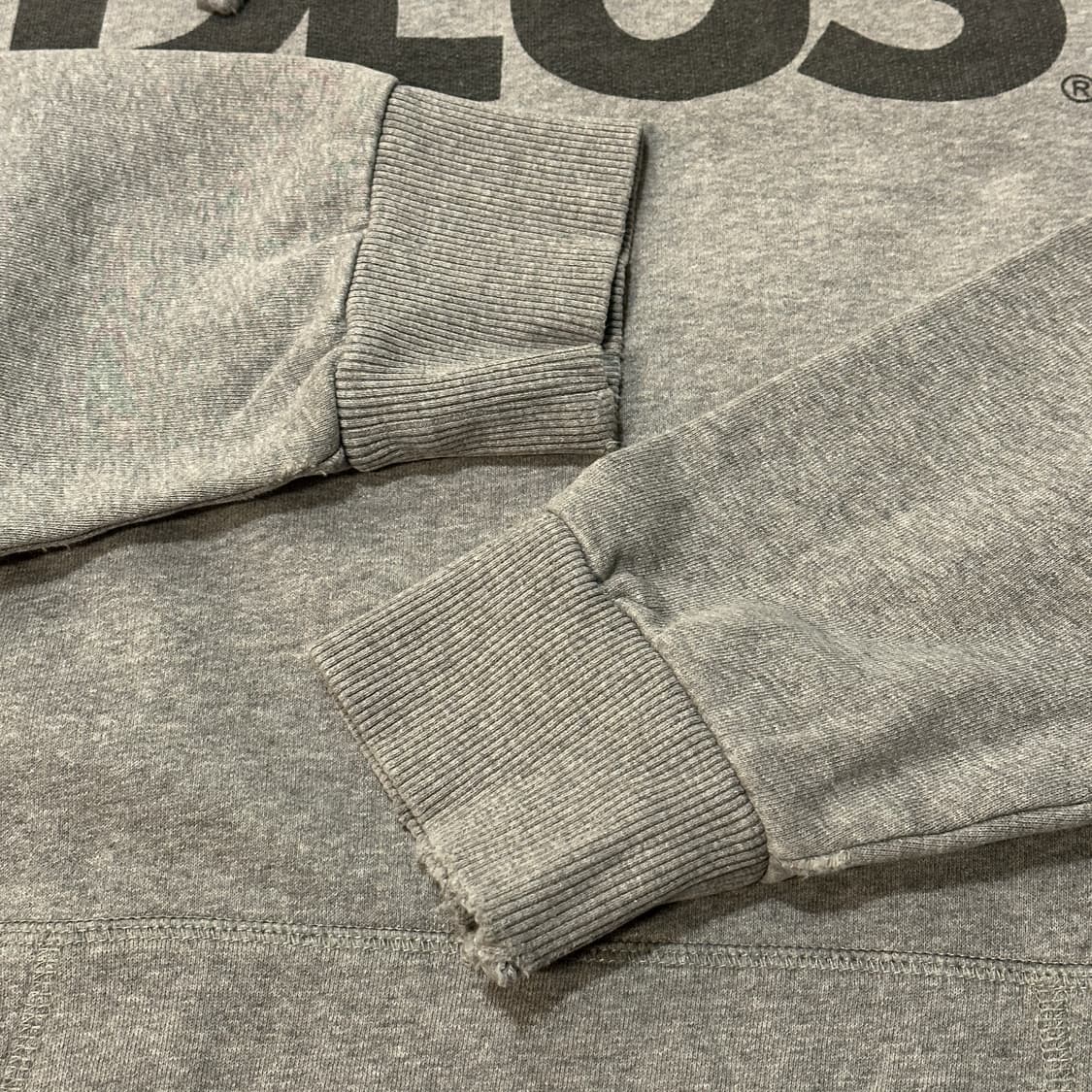 데우스 엑스 마키나 후드티 그레이 (XXL) 상품이미지4