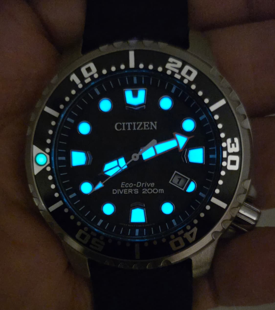 시티즌(CITIZEN) 프로마스터 다이버 태양광 에코 드라이브 시계 (풀 상품이미지2