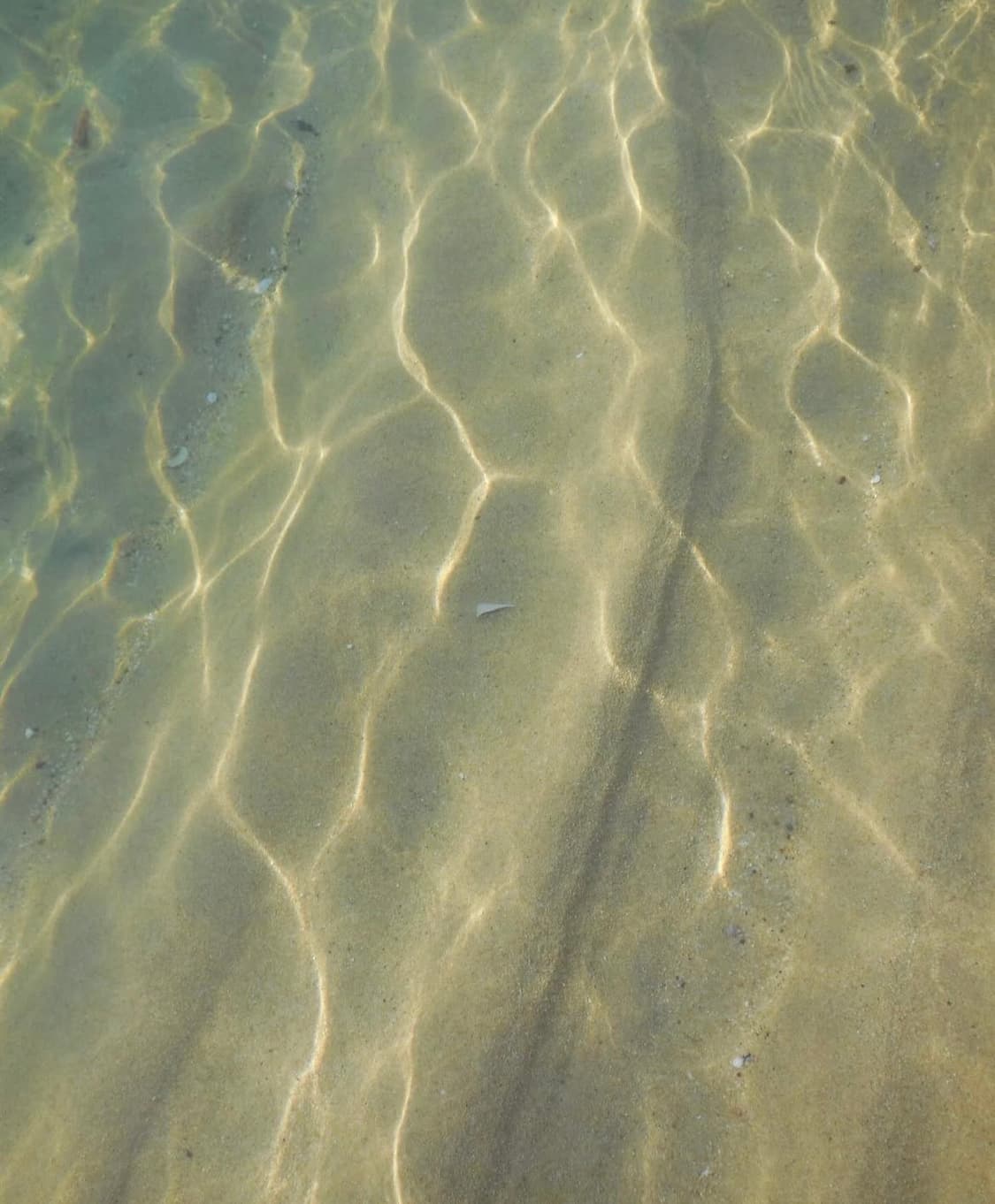 Nikon Coolpix S6500 상품이미지6