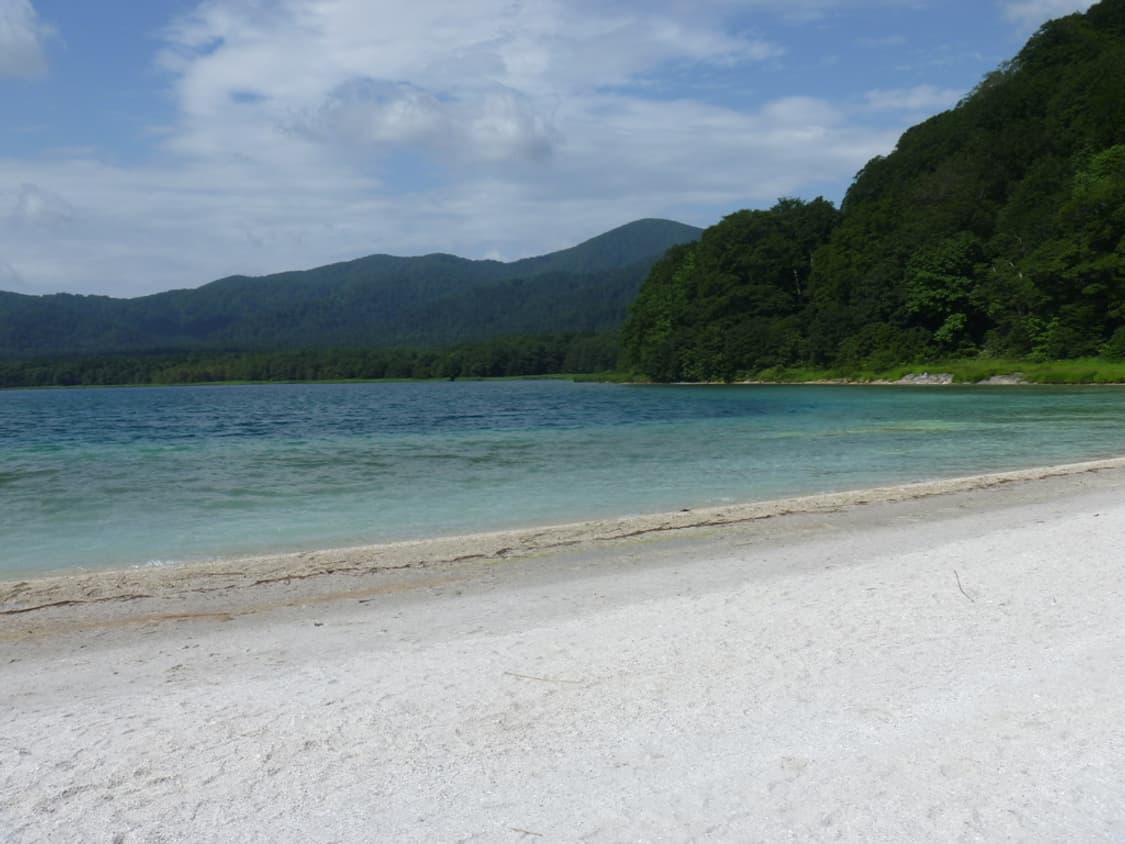 (핑크 디카🎀) 파나소닉 DMC-FP1 디카 디지털카메라 상품이미지8