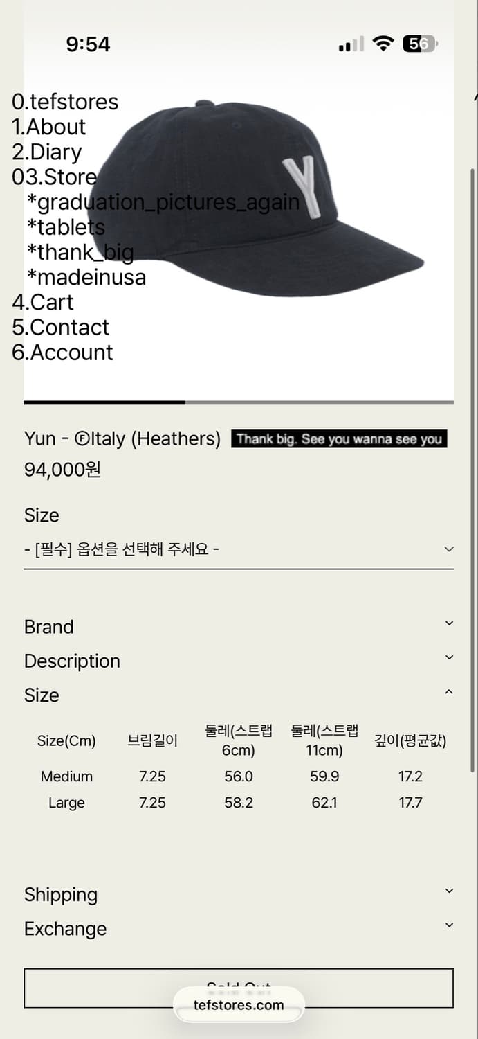 테프스토어 테프스토어즈 Yun 볼캡 캡 모자 M 사이즈 상품이미지3
