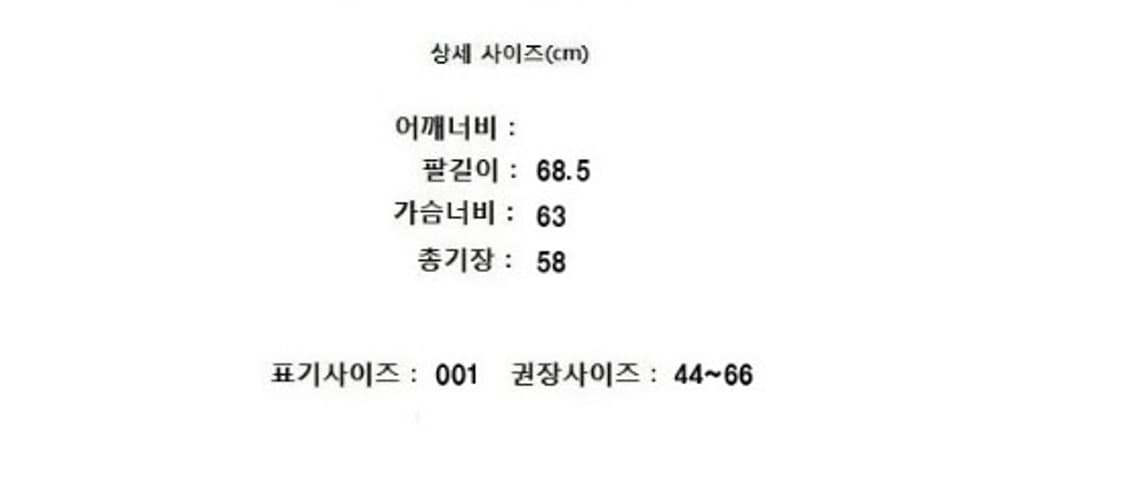 Danton 단톤 상품이미지9
