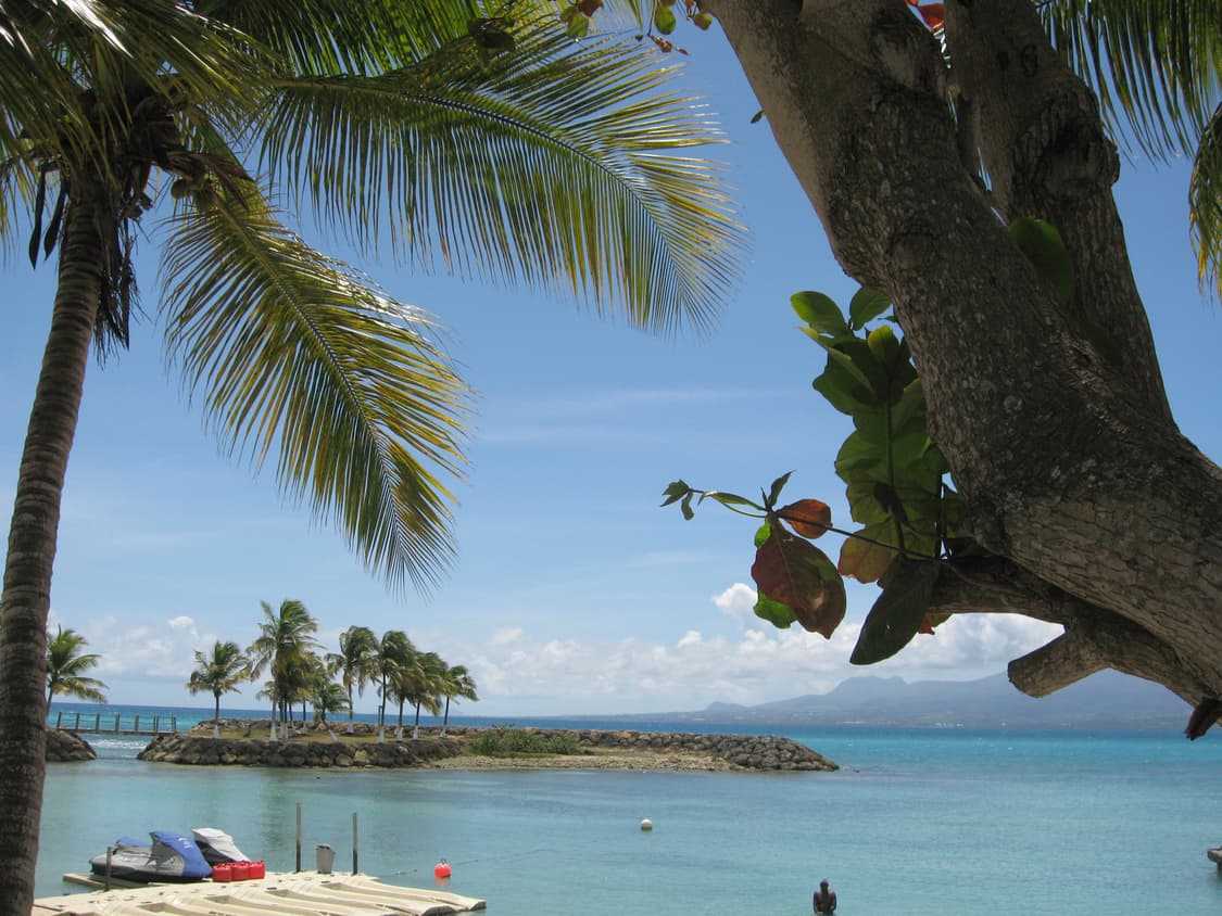 Canon ixus 900ti / ixy1000 캐논 익서스 디카 카메라 상품이미지4