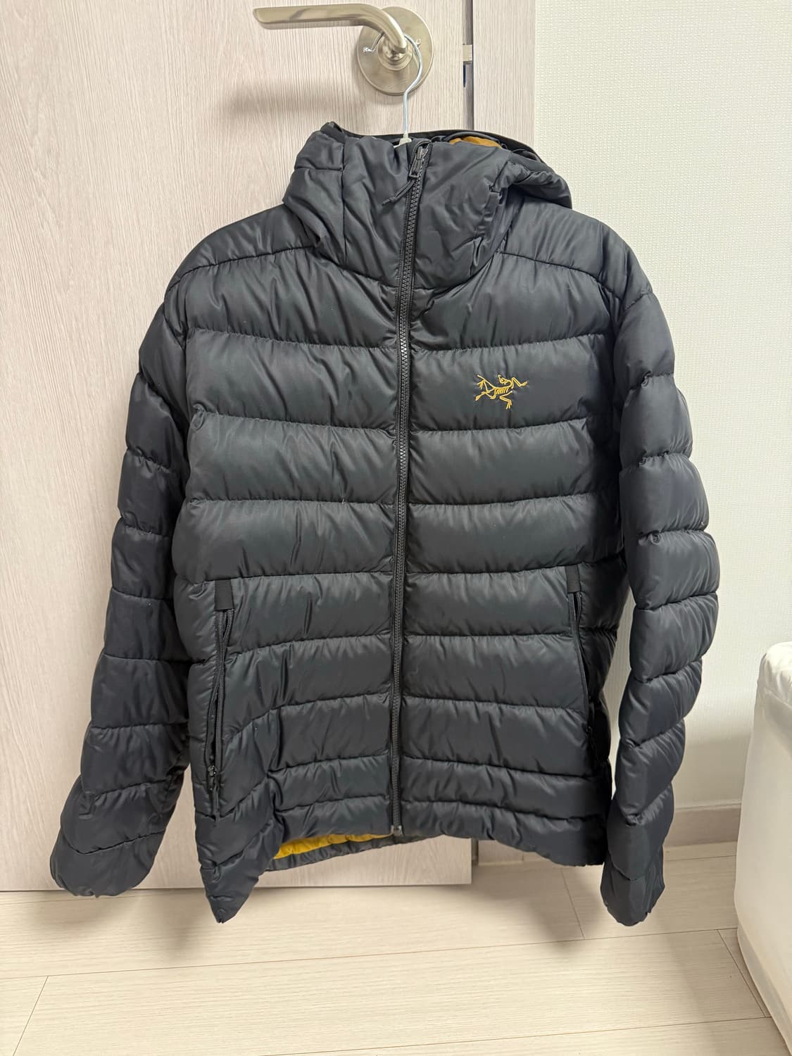 아크테릭스 토륨 AR 후디 24K 상품이미지1