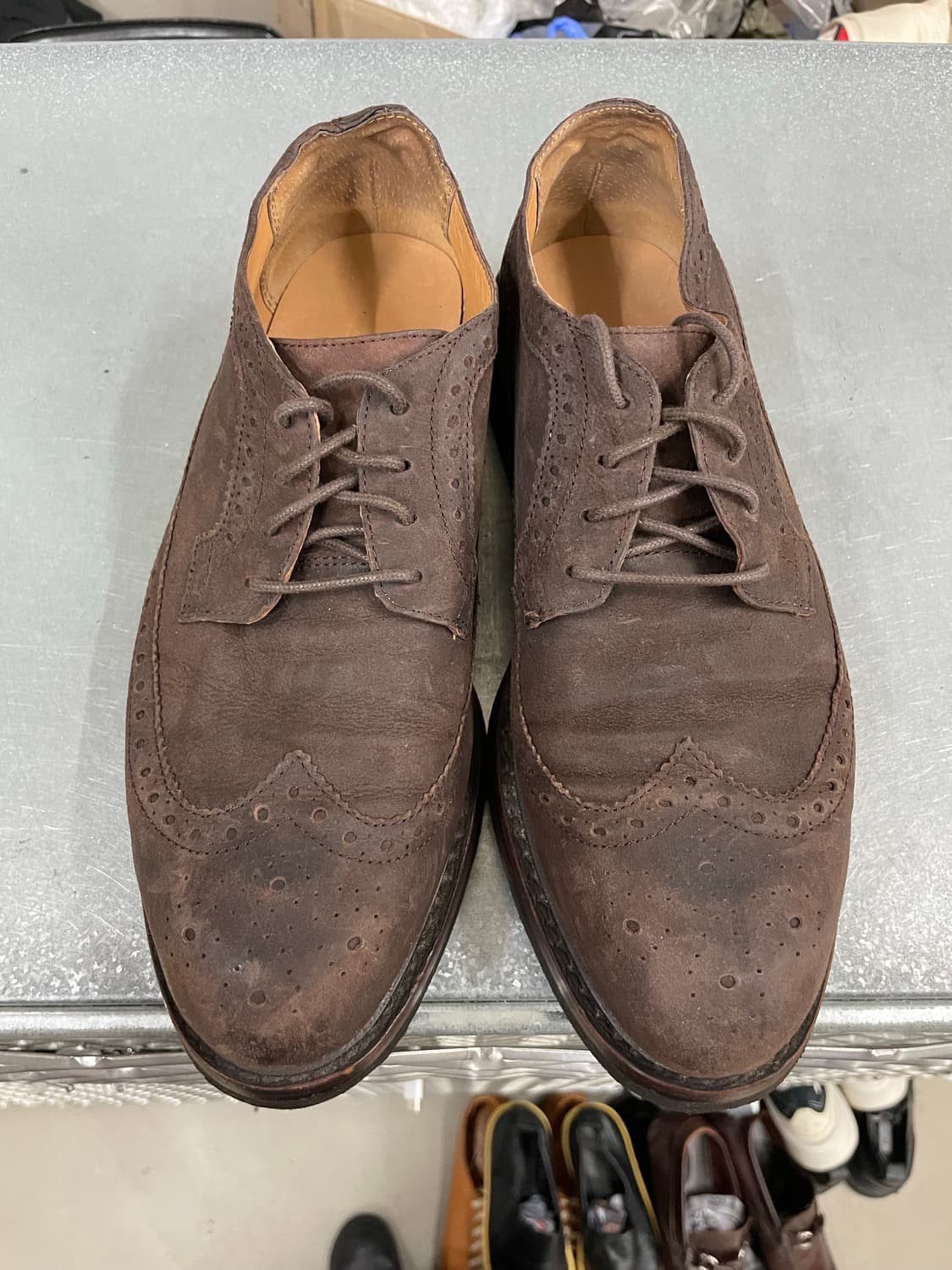 폴로 스웨이드 윙팁 더비 8.5 (gr-4389) 상품이미지5