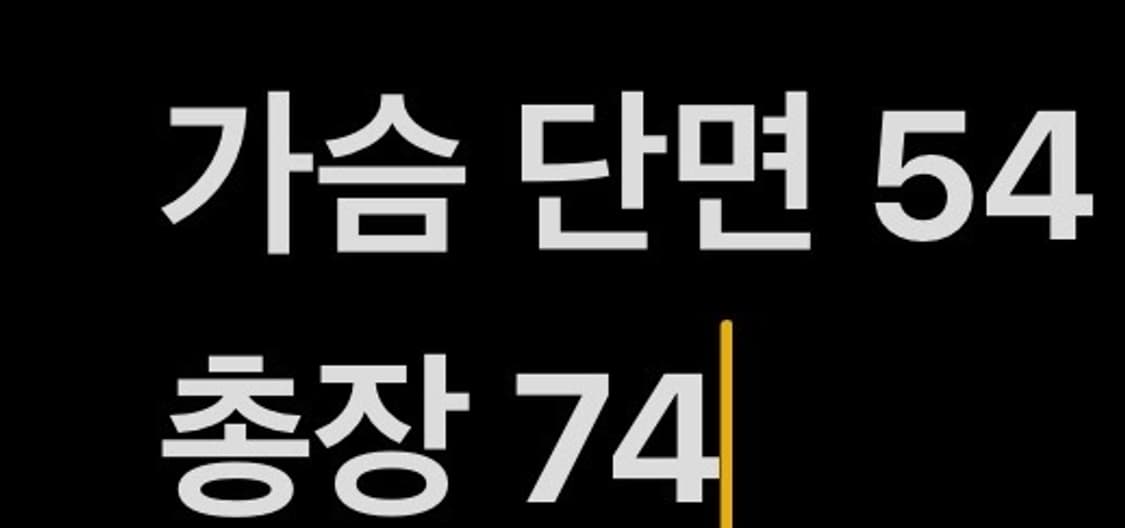 [정품/M] 롯데 자이언츠 반팔 동백 유니폼 레드 b8 상품이미지6