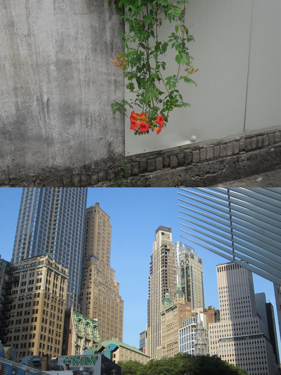 캐논 익서스 115 HS (ixus 115 hs) 상품이미지9