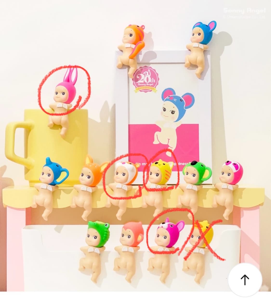 소니엔젤 히퍼 상품이미지3