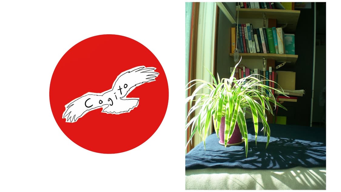 Casio exilm ex-z6a 카시오 디지털카메라 상품이미지10