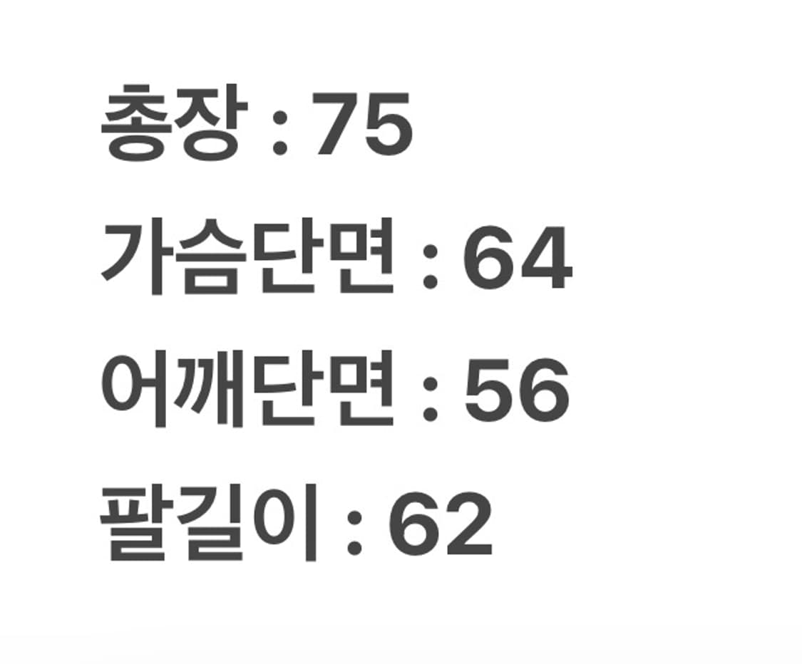 [ 정품/XL ] 노스페이스 고어텍스 그린 마운틴 자켓 상품이미지7