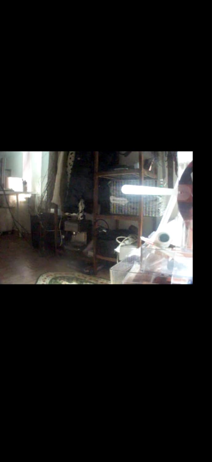 Kodak easyshare dx6490(작례O) 상품이미지10
