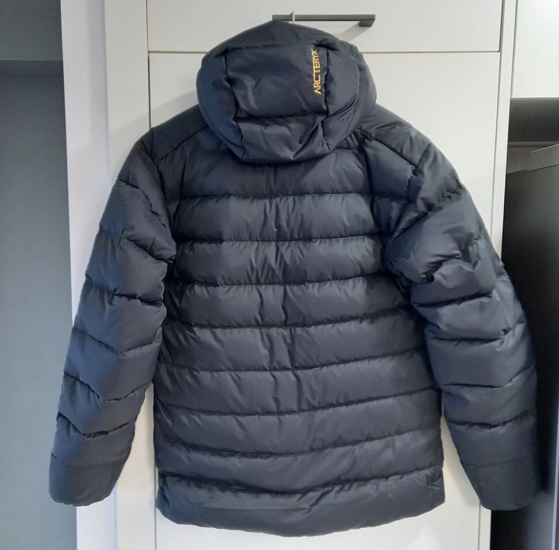 아크테릭스 토륨 후디 상품이미지5