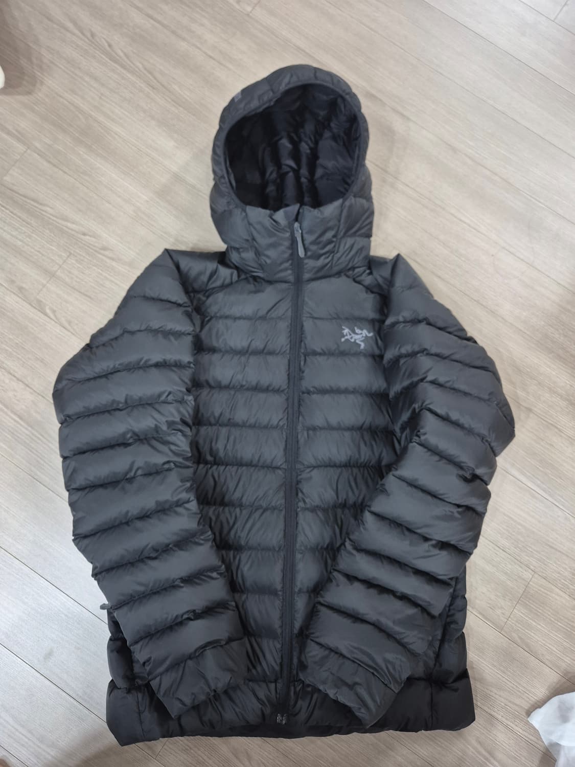 [S] 24FW 아크테릭스 세륨 후디 블랙 상품이미지1