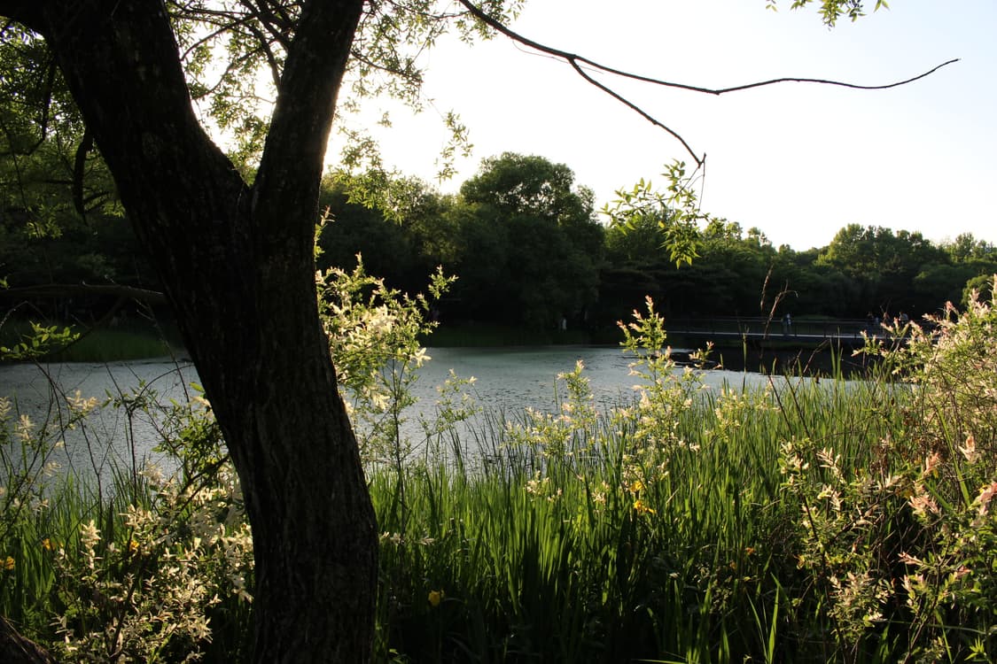 캐논 eos100d (본체,줌렌즈,배터리,충전기,가방) 상품이미지10