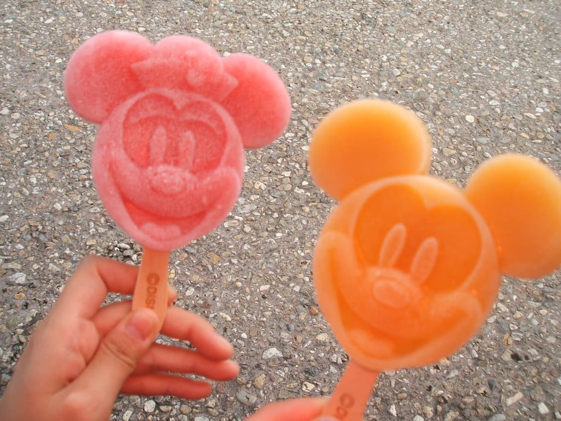 FUJI F440 카메라 판매 (배우 정소민 디카, 바로 사용 가능) 상품이미지6