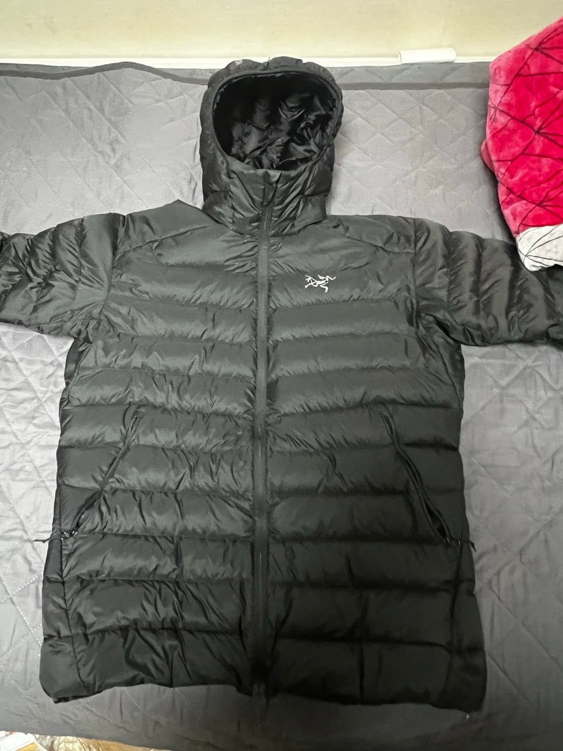 아크테릭스 세륨 후디 블랙 (M) 판매 상품이미지3